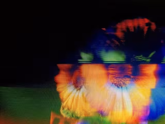 Serene Motion