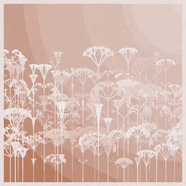 SERENITY #8