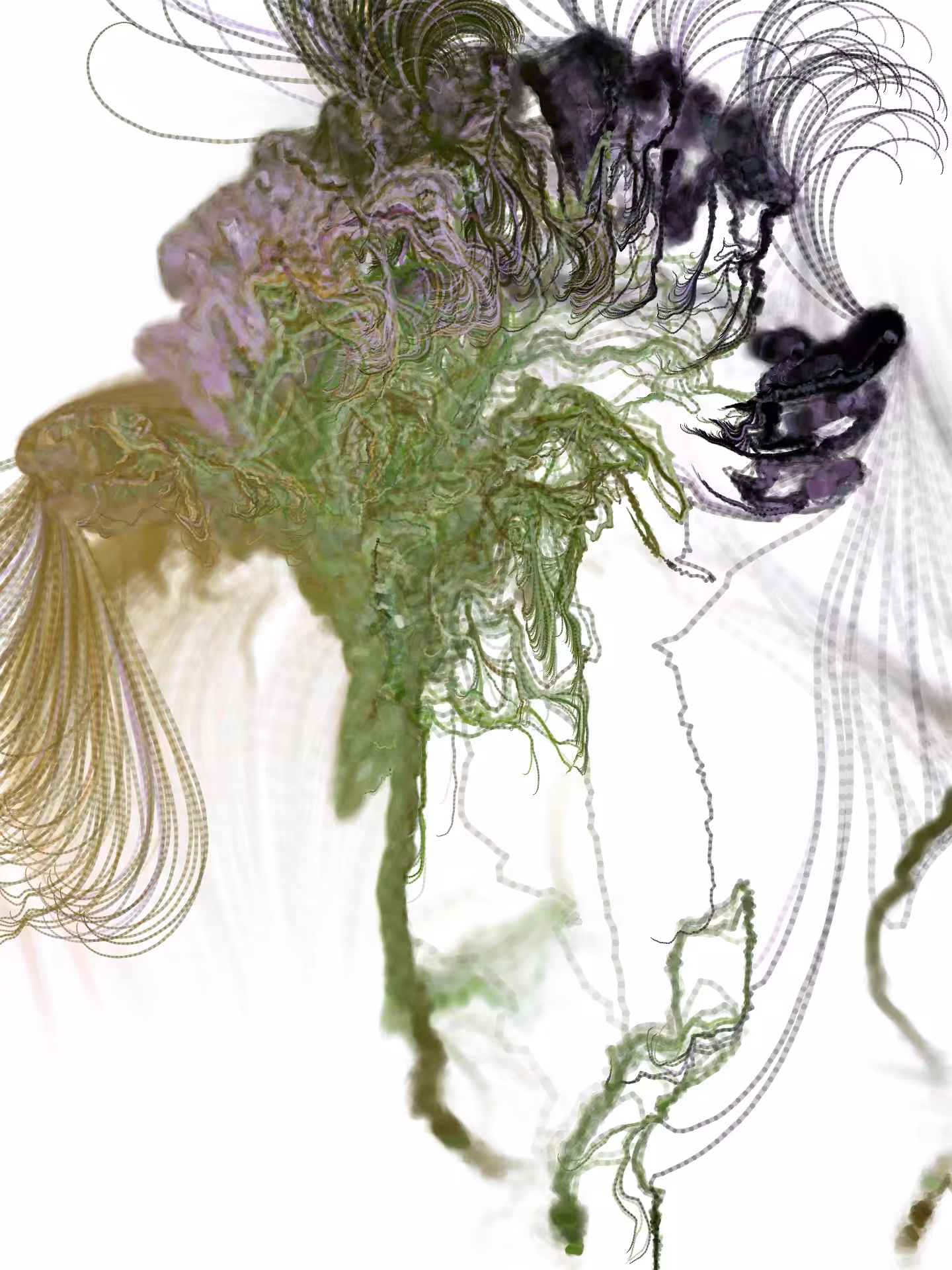 Radicularia 03