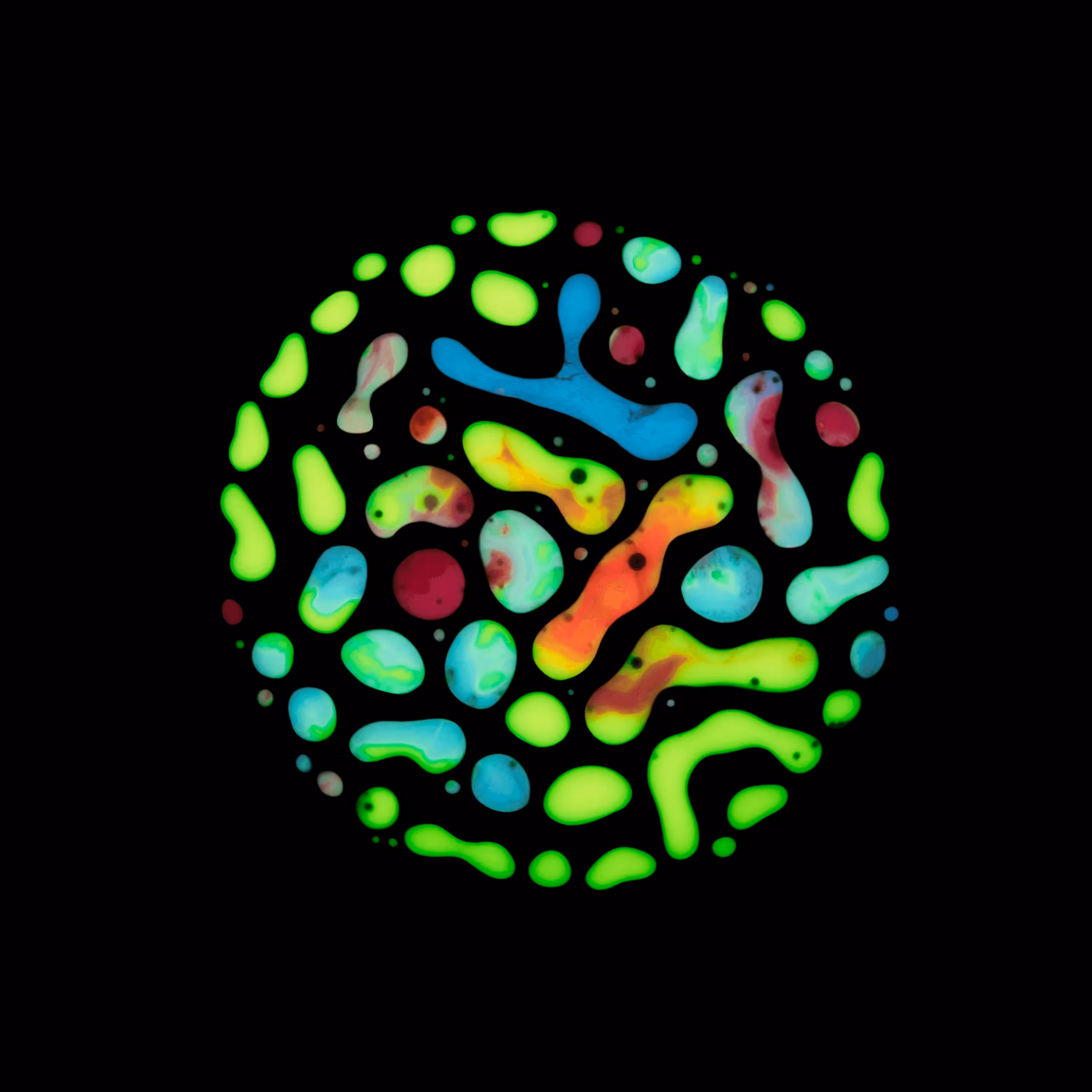 Haematopoiesis #56