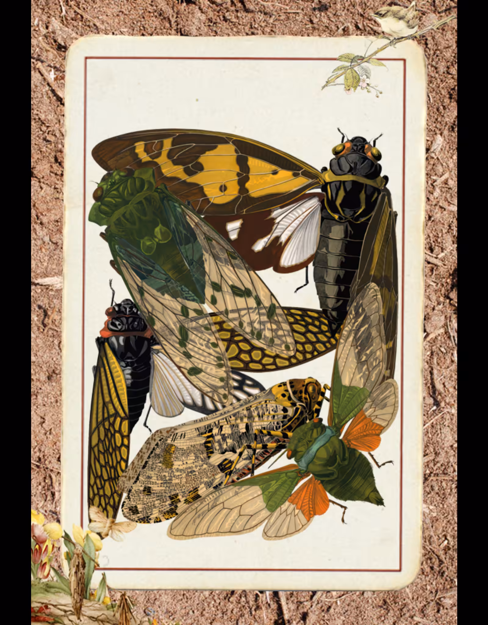 Paper Bugs #2