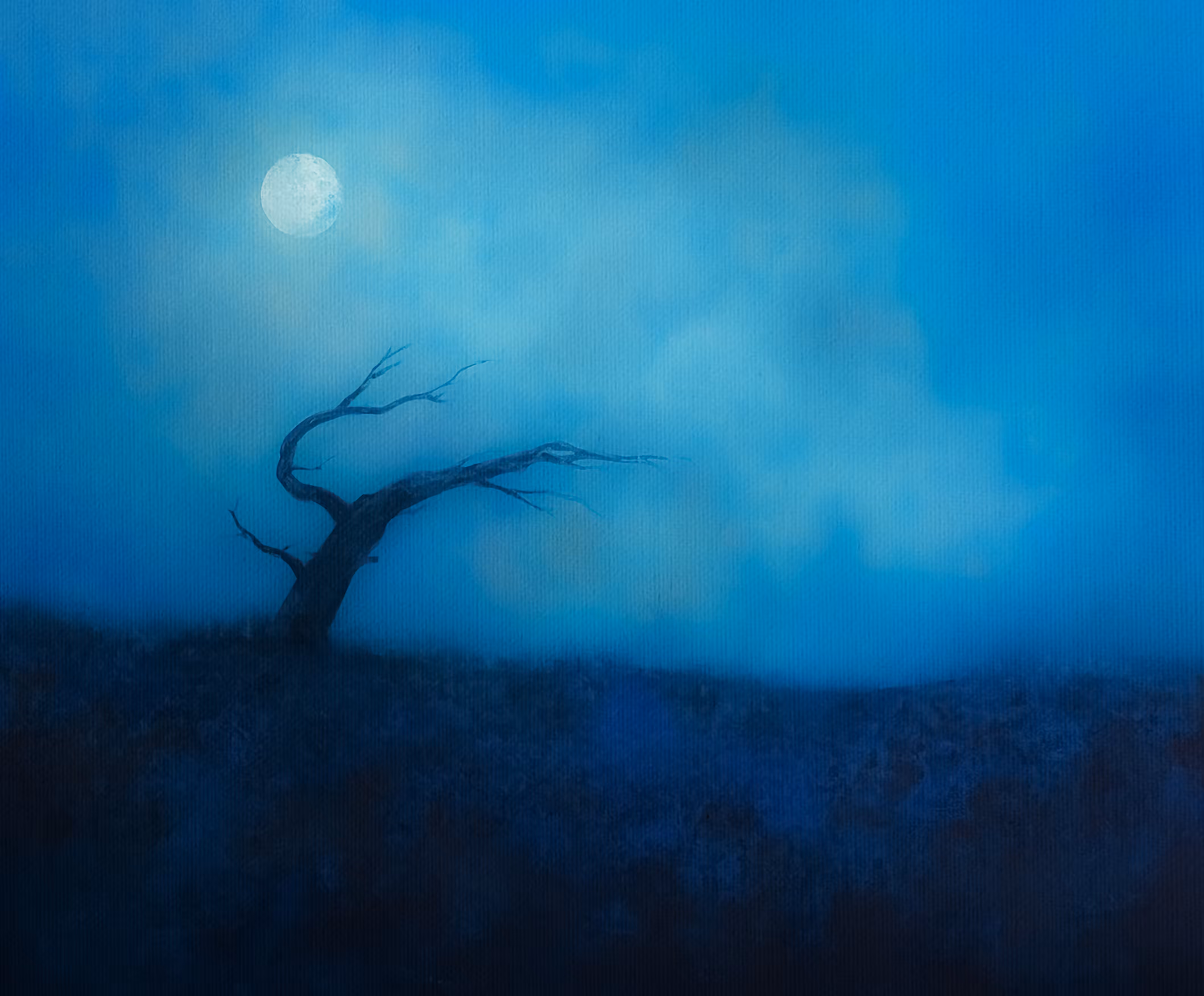 Moonlit Silence