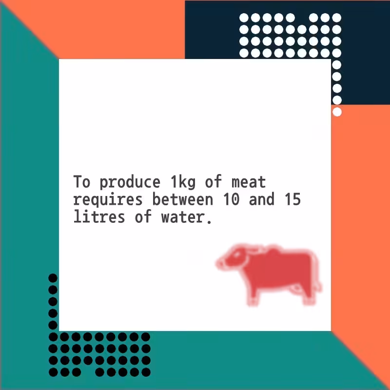 Error #4 - Meat Water