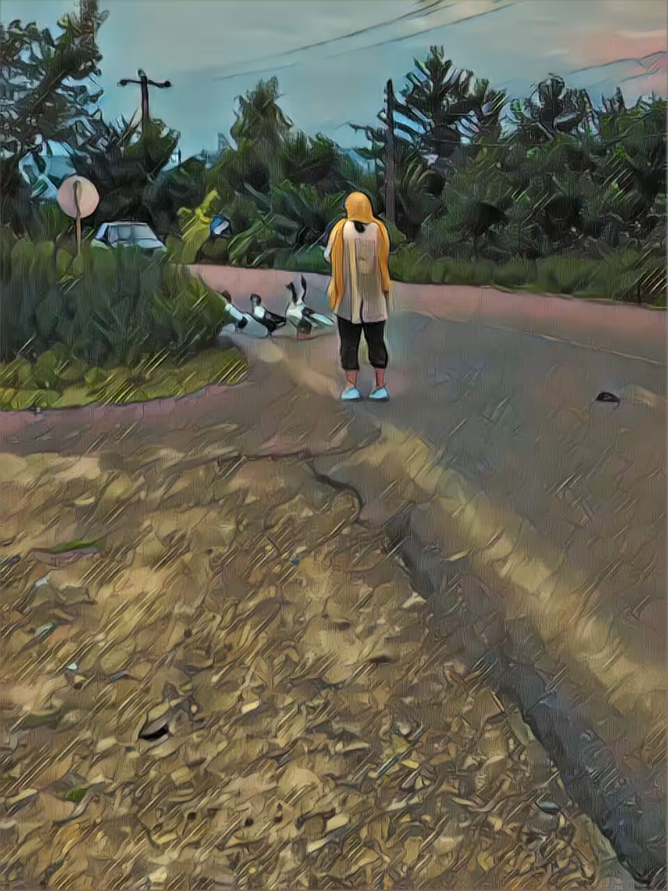 Ducks