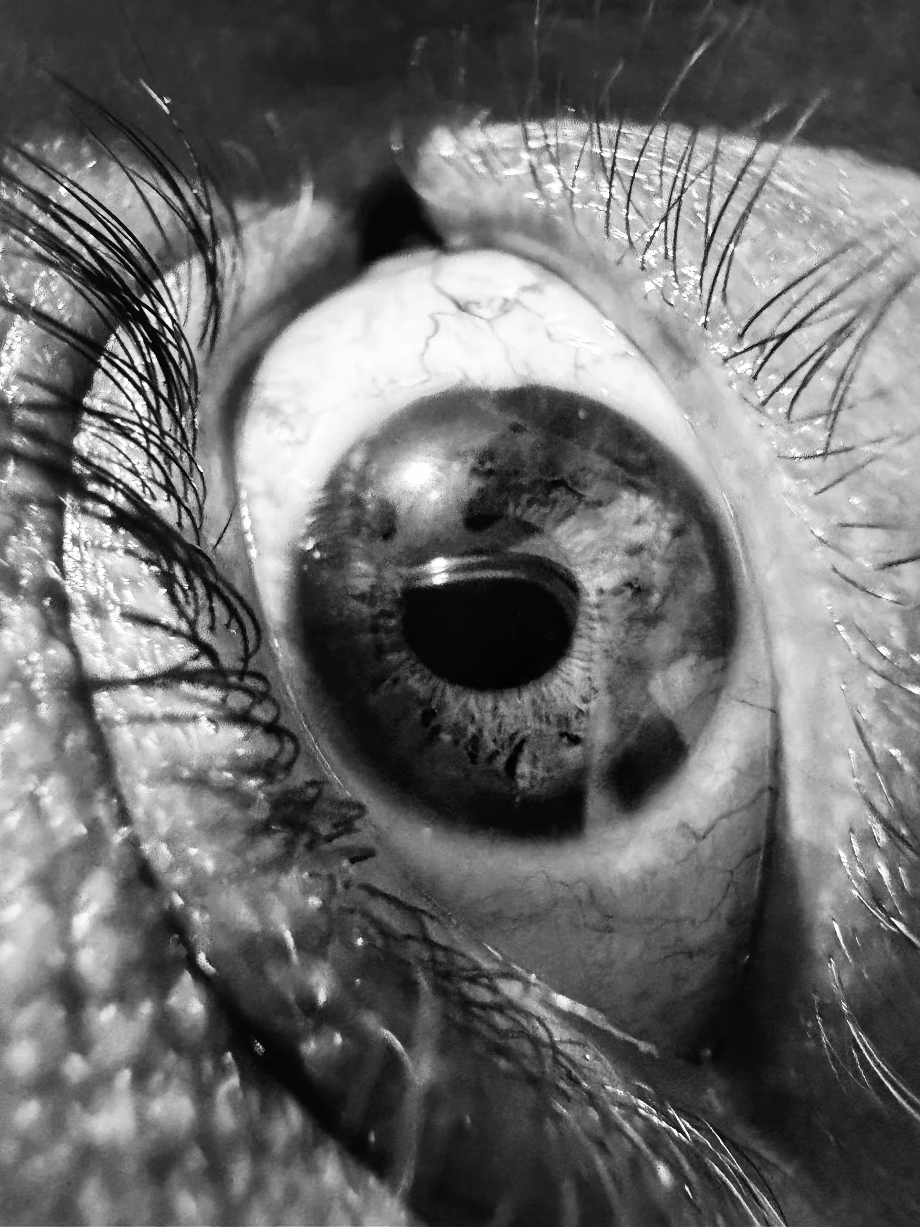 Eyes Wide