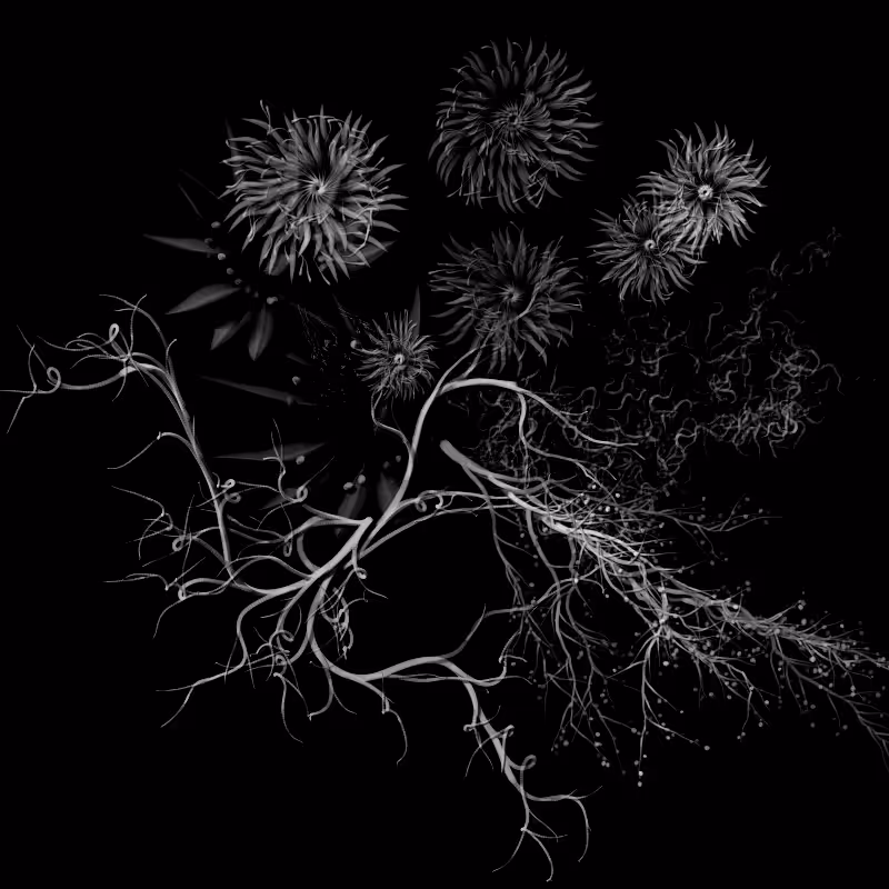 Botanical Ghosts #126