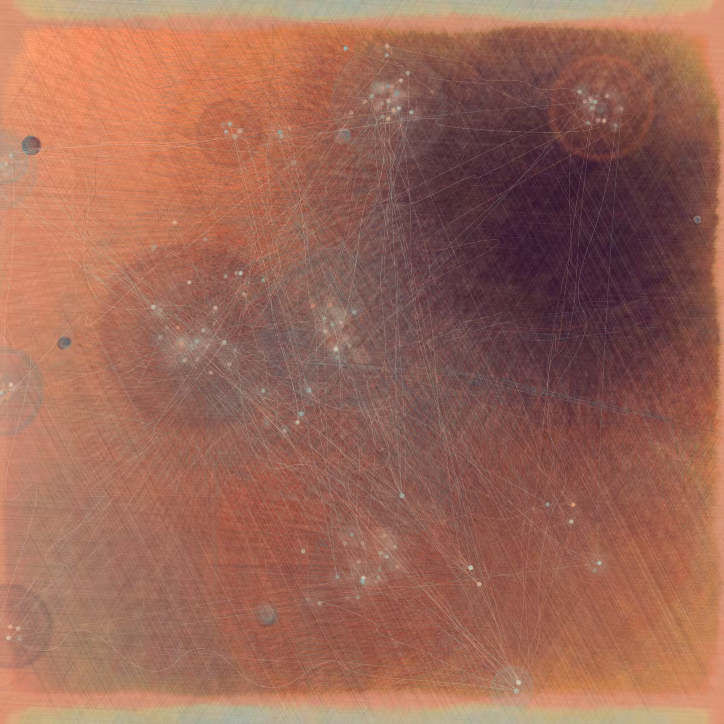 Reticulum