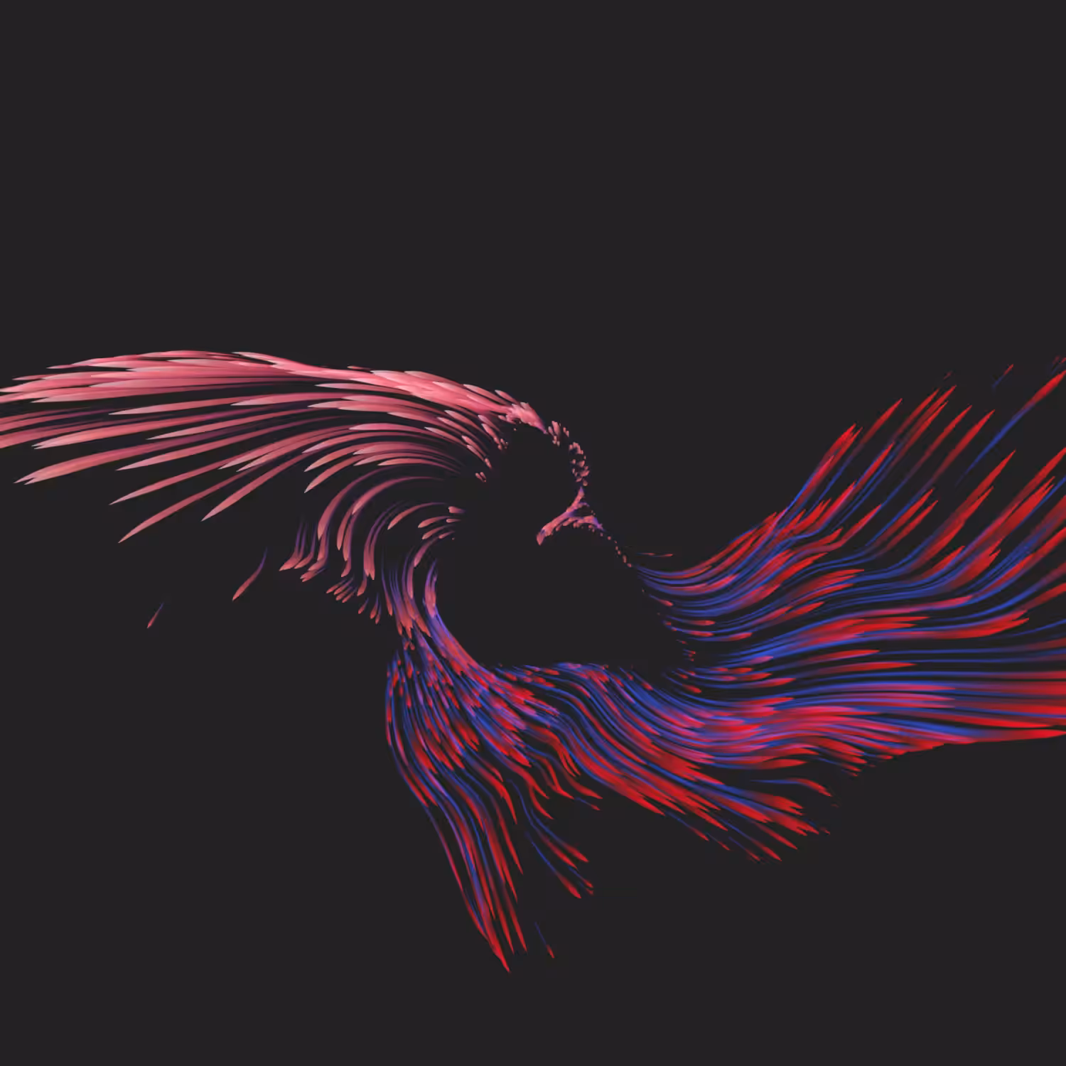 Vortex #1017