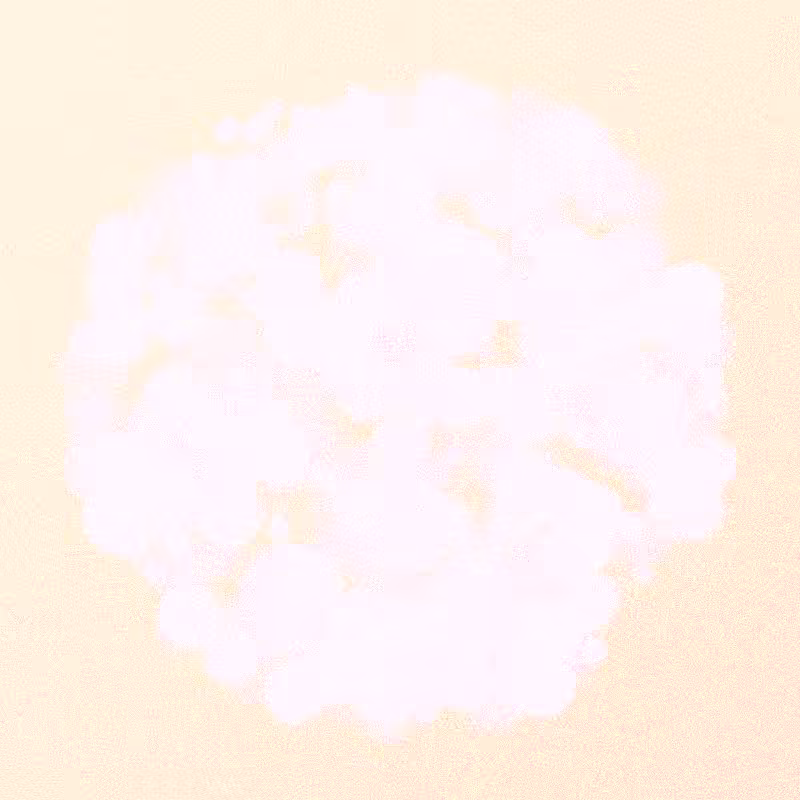 Furbol #643