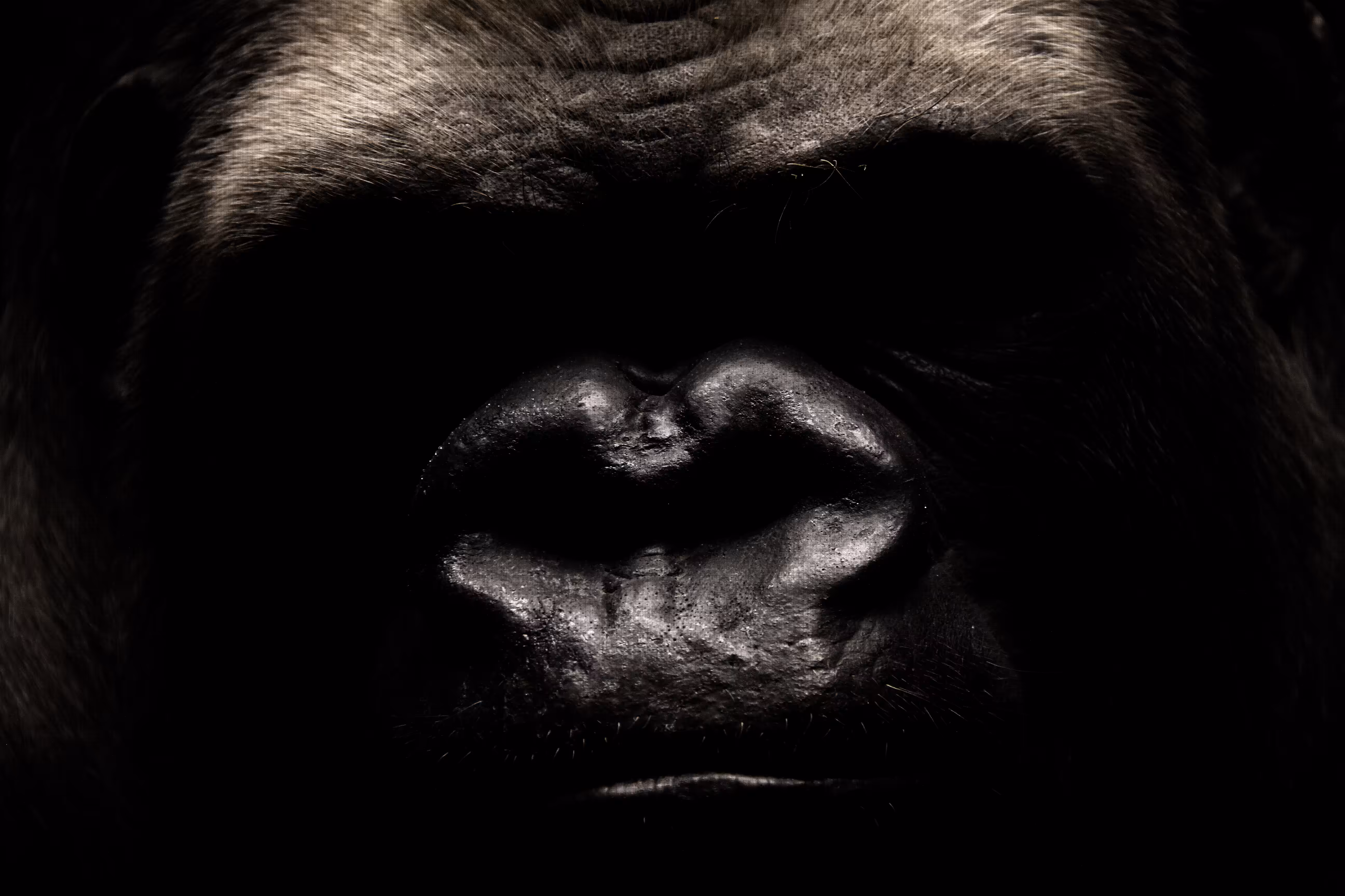 Pipi's Ape