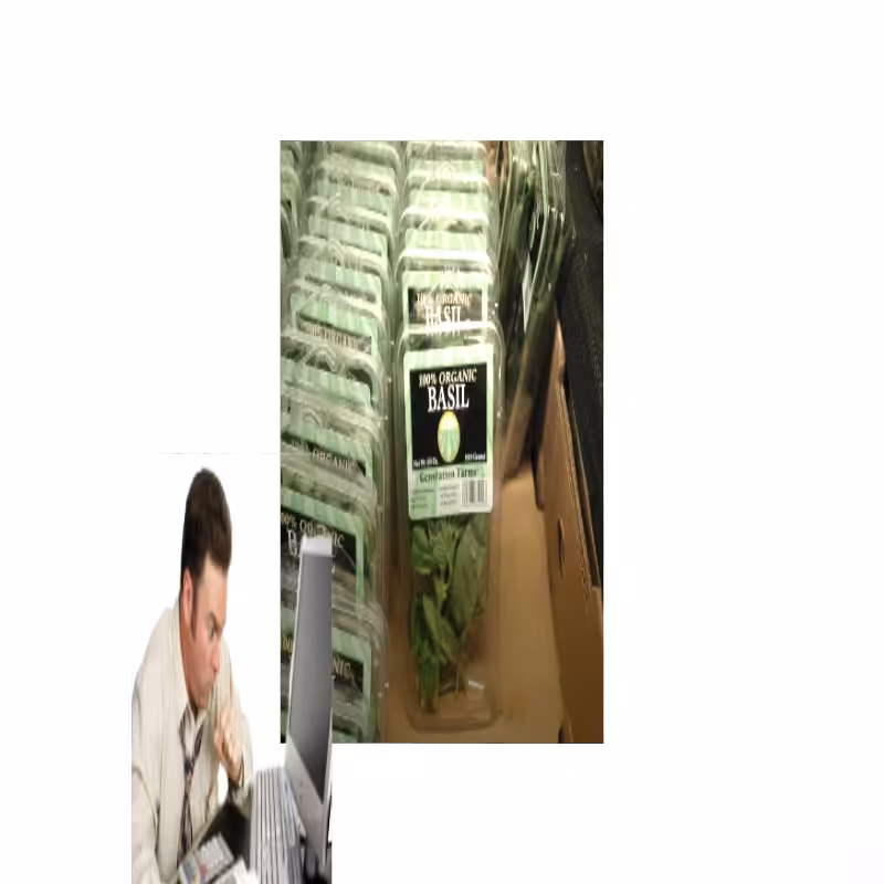 ART BASIL 2022 #77