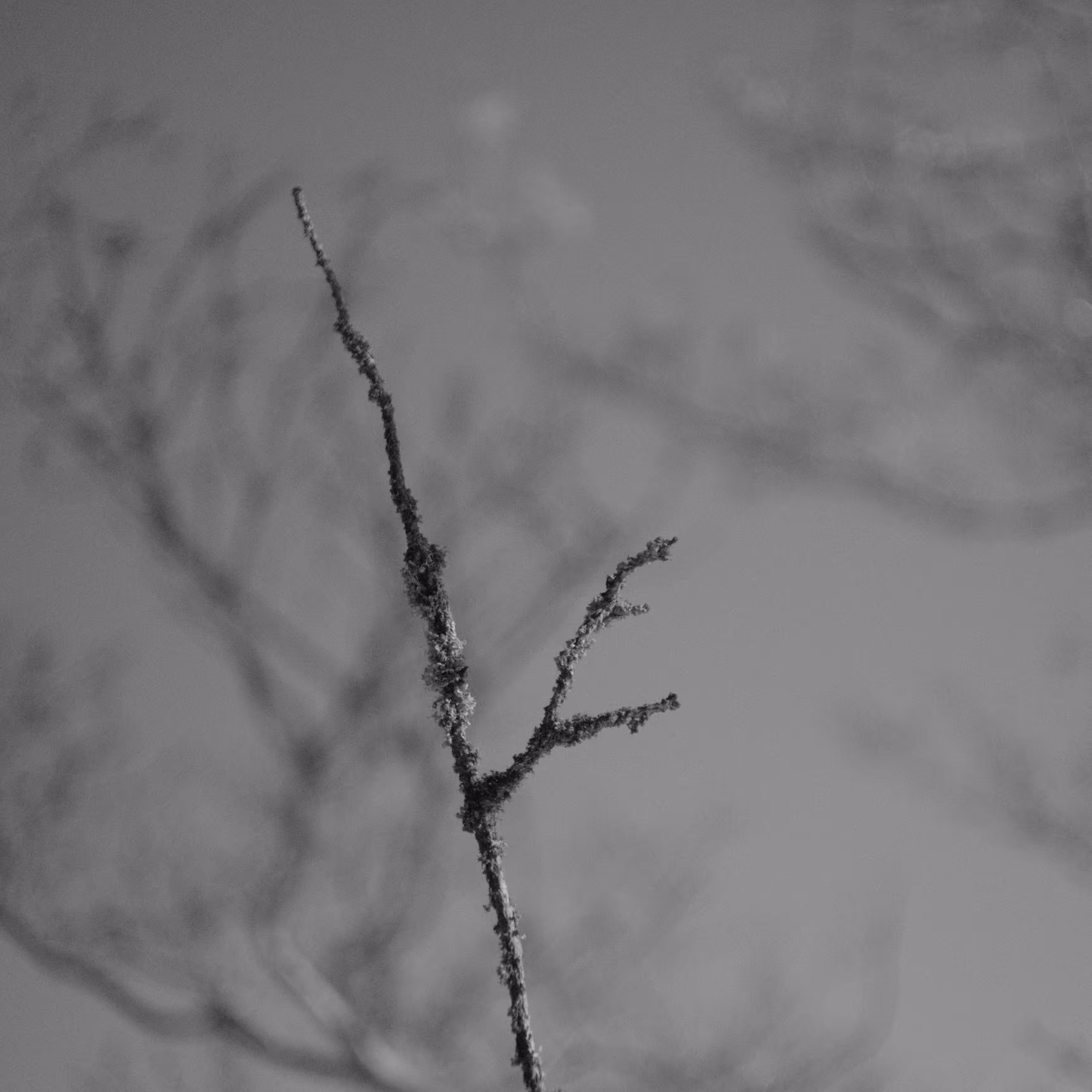 SQR/0012