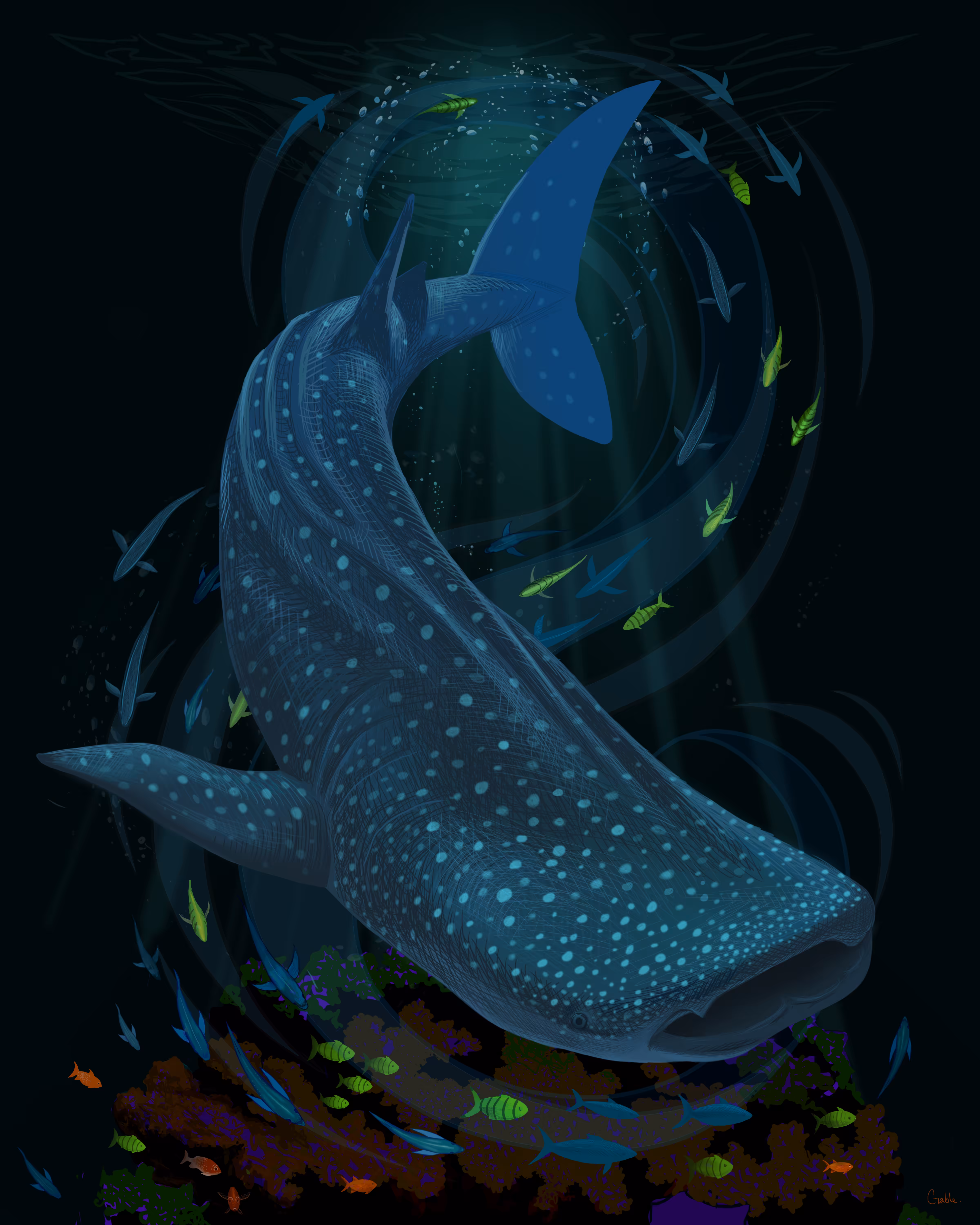 THE DEEP