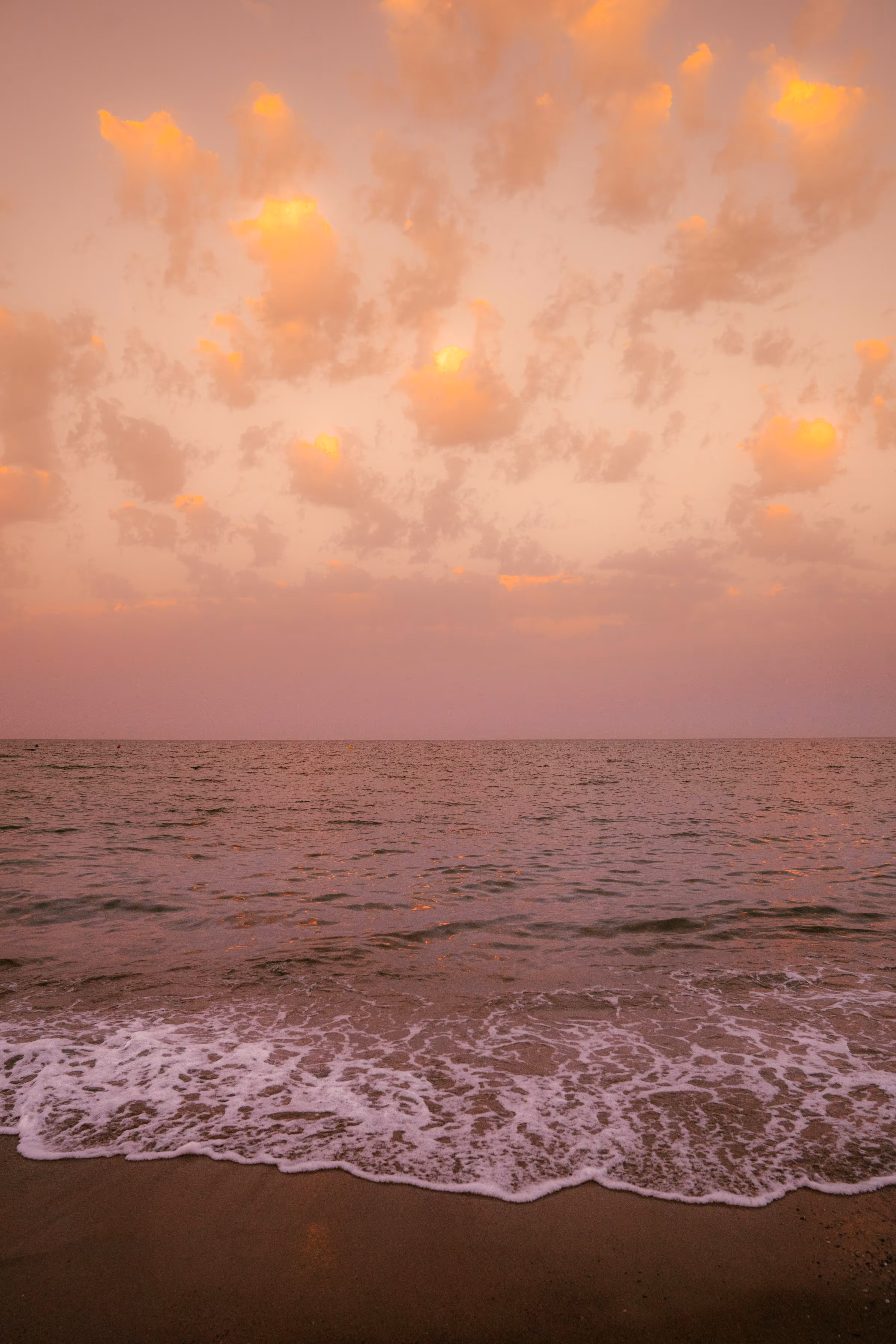 Peace of the sea 