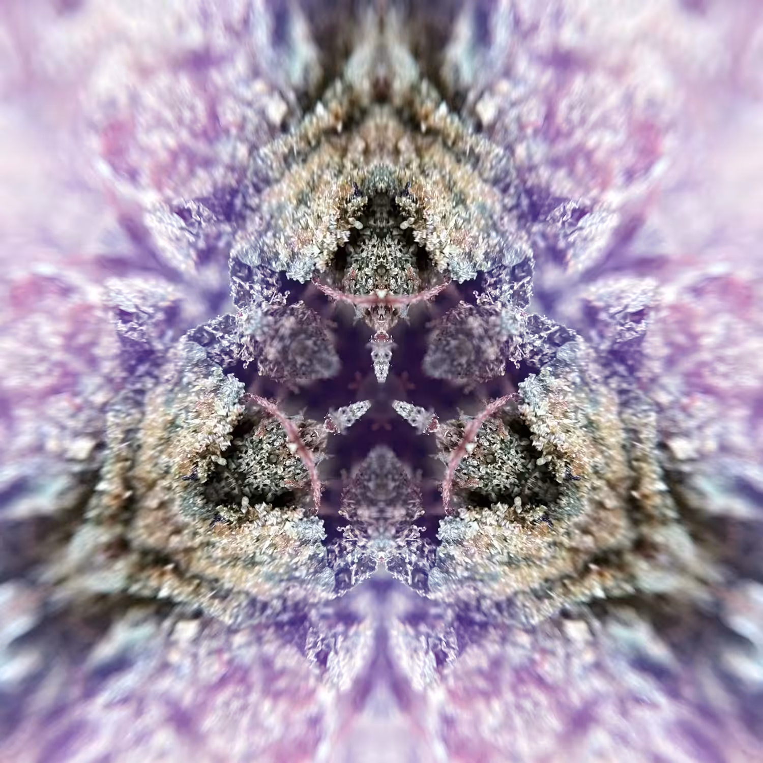 Flower Mandala 09