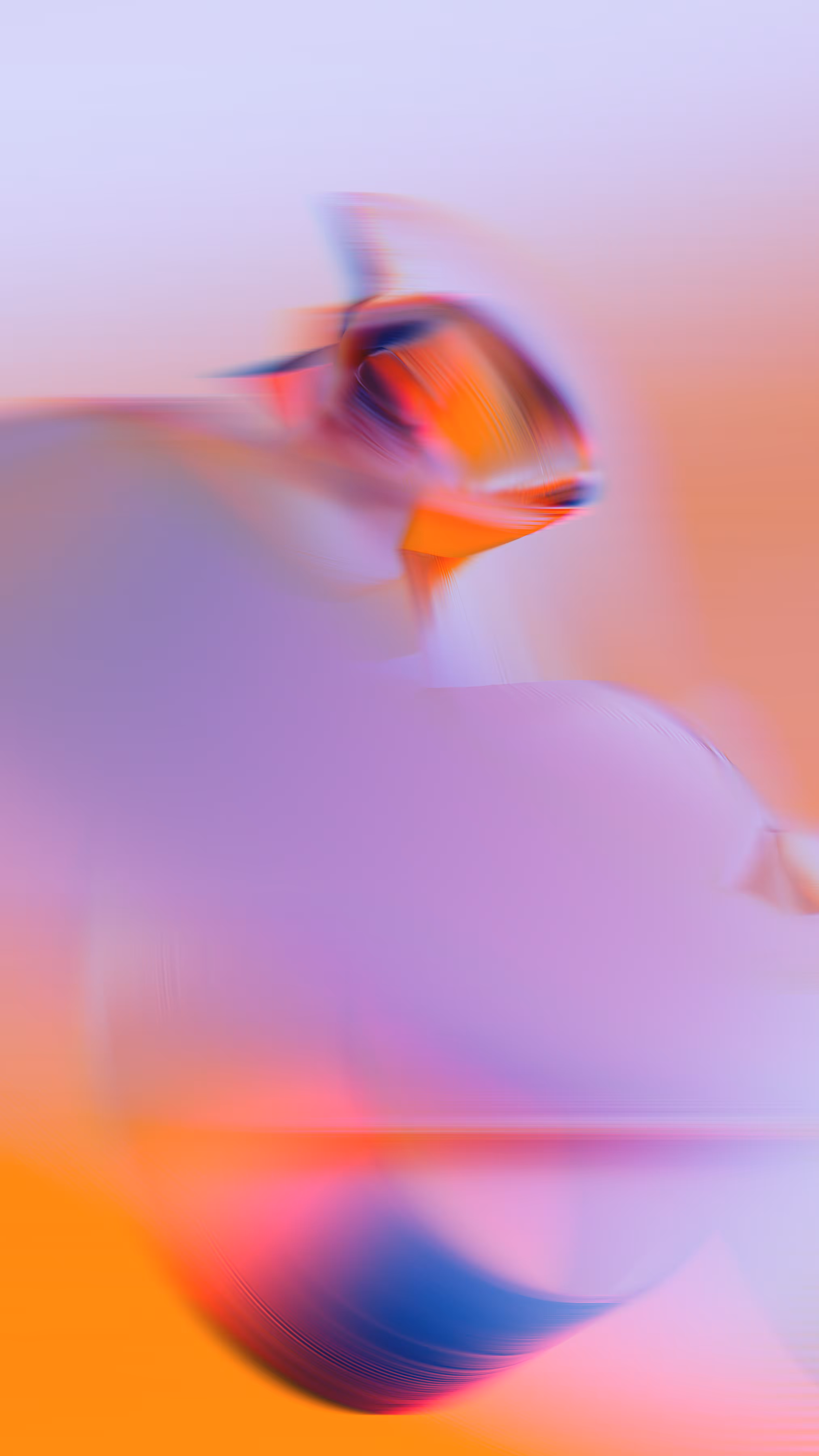 Momentum #137