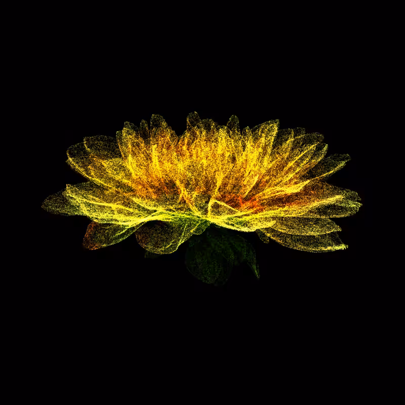 Dahlia Pinnata 30 #236