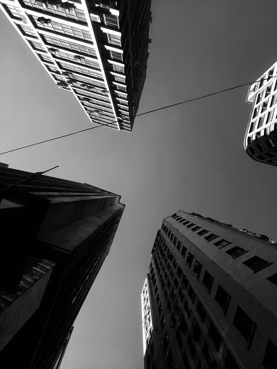 SP-ConcreteJungle#13
