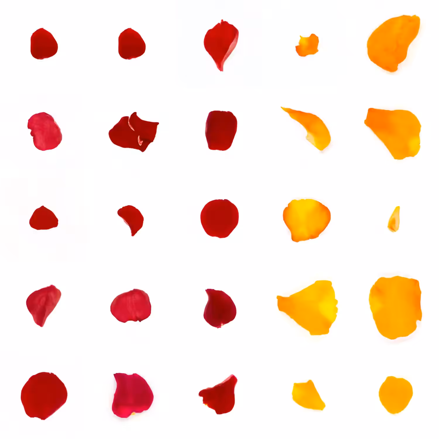 Infinite Petals 5x5#1834