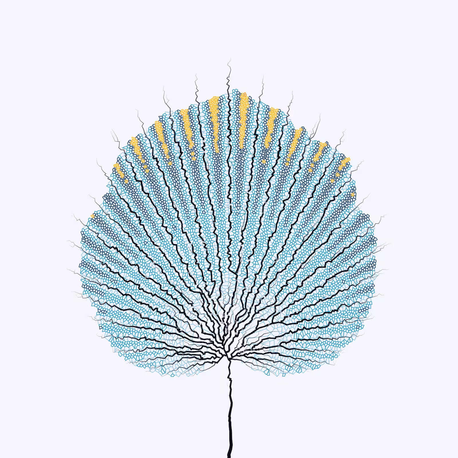 Leaf study #51