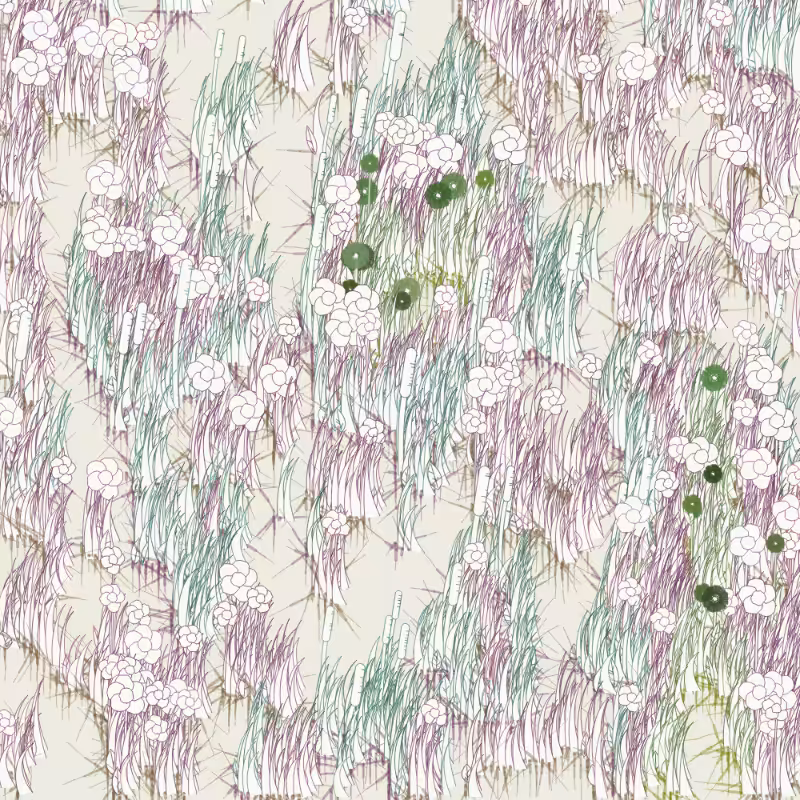 Petri 1500 #566