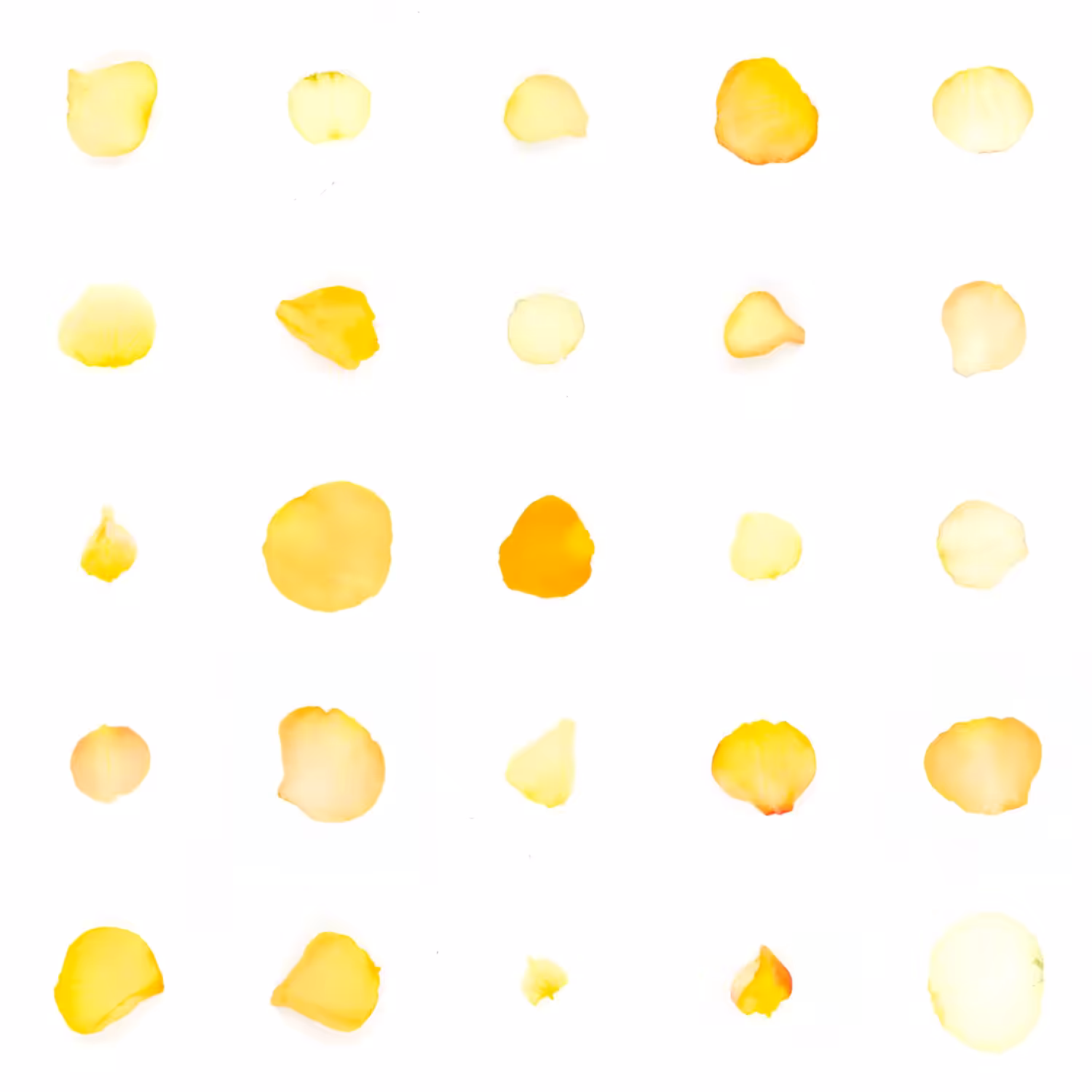 Infinite Petals 5x5#20522