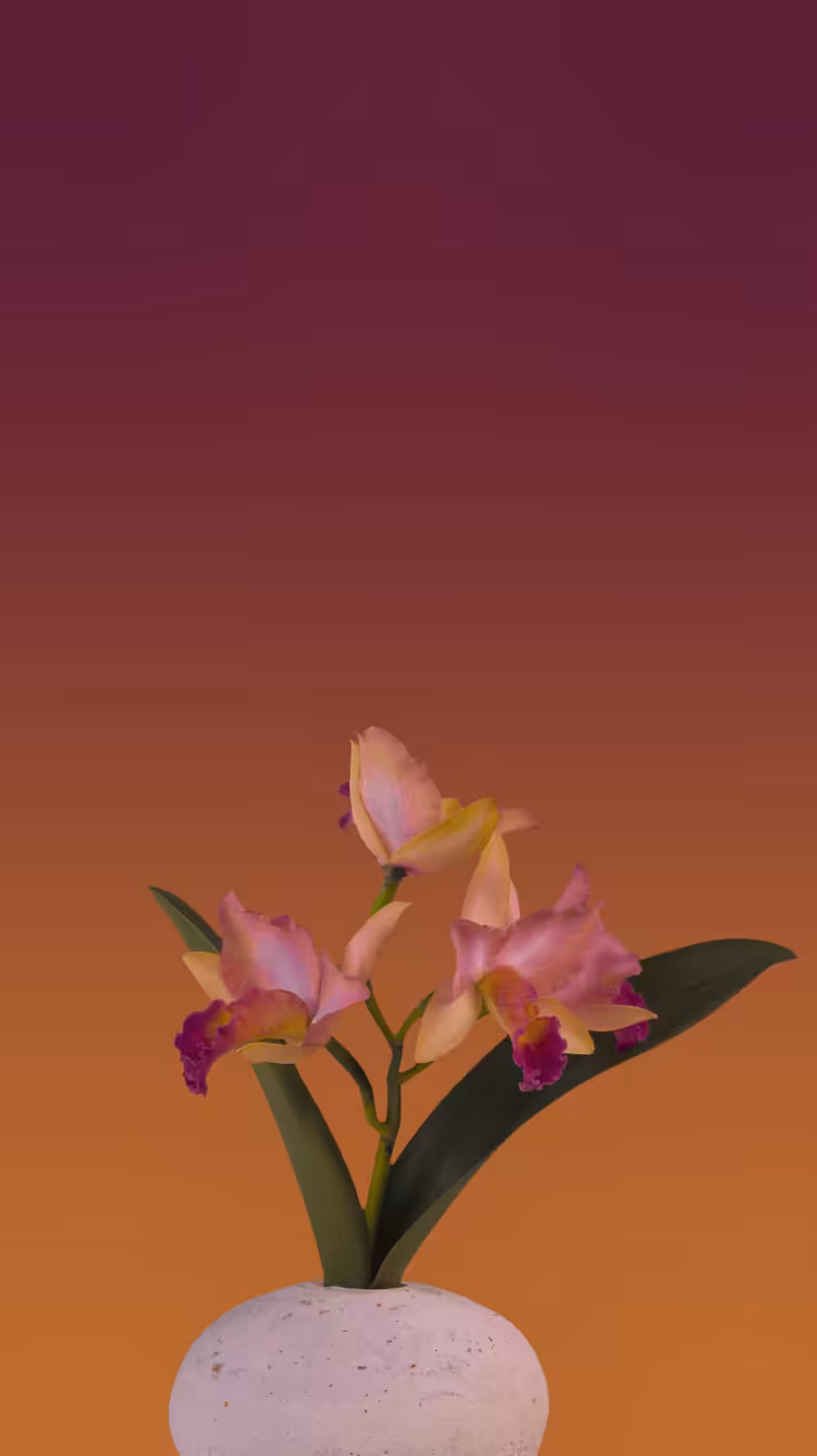 Orchid, in motion