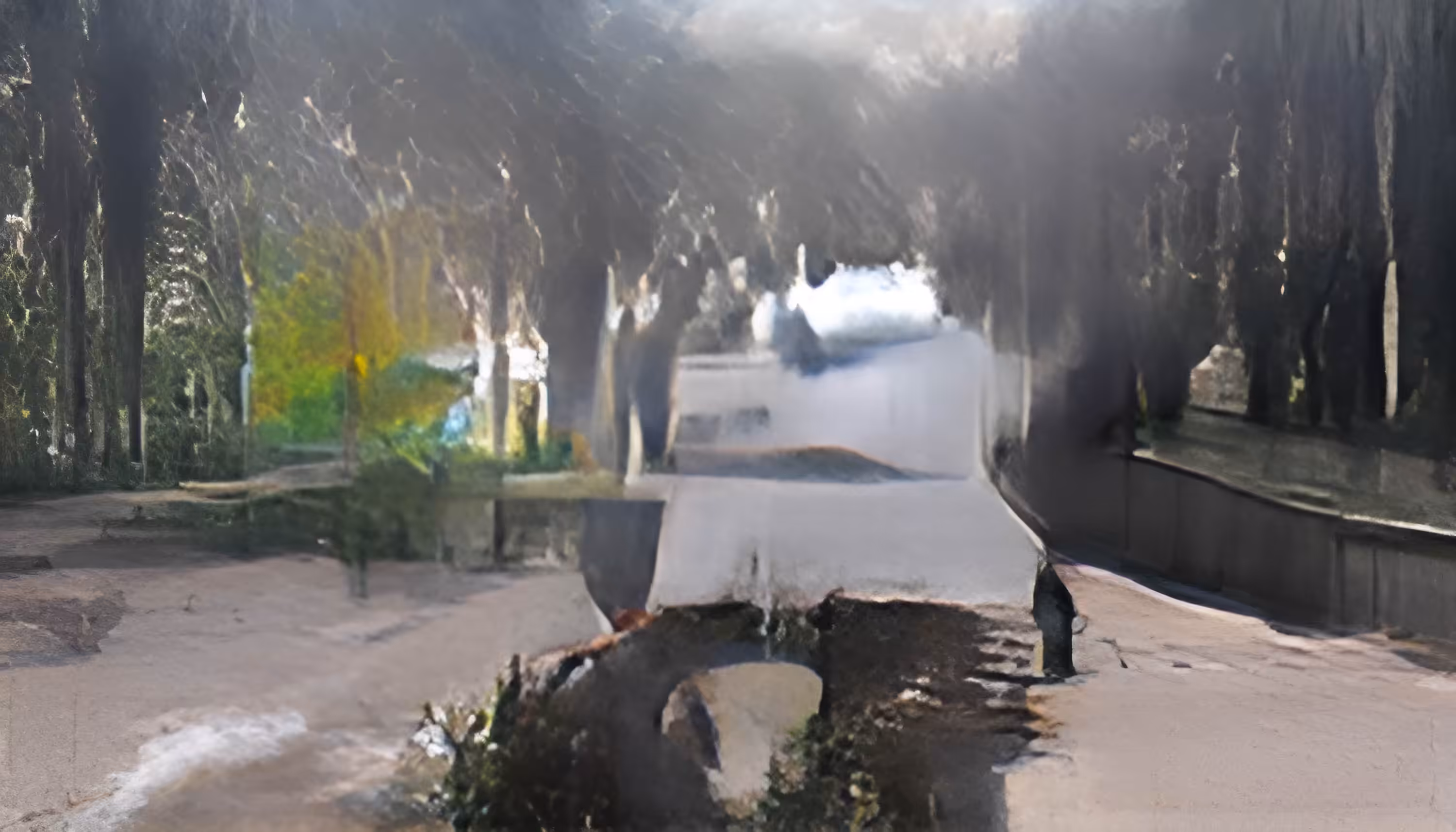 Post Photographic Perspectives: Taming the Machine: Diego Trujillo - Blind Camera #61