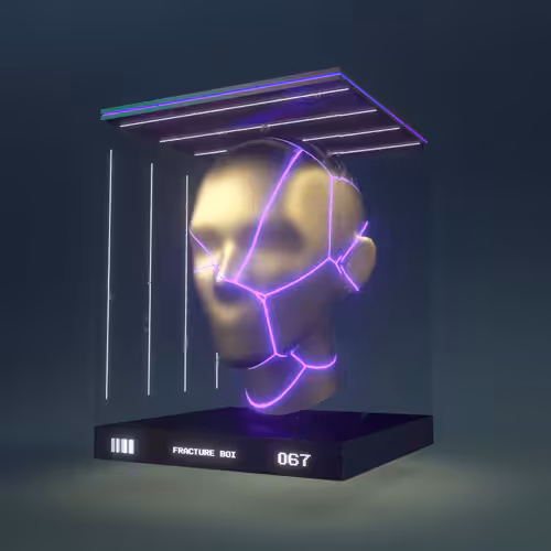 Fracture Boi: FRACTURE BOI - 067
