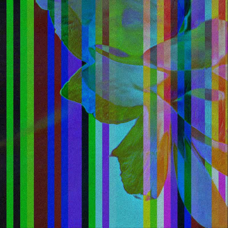 CLDCSMC #172