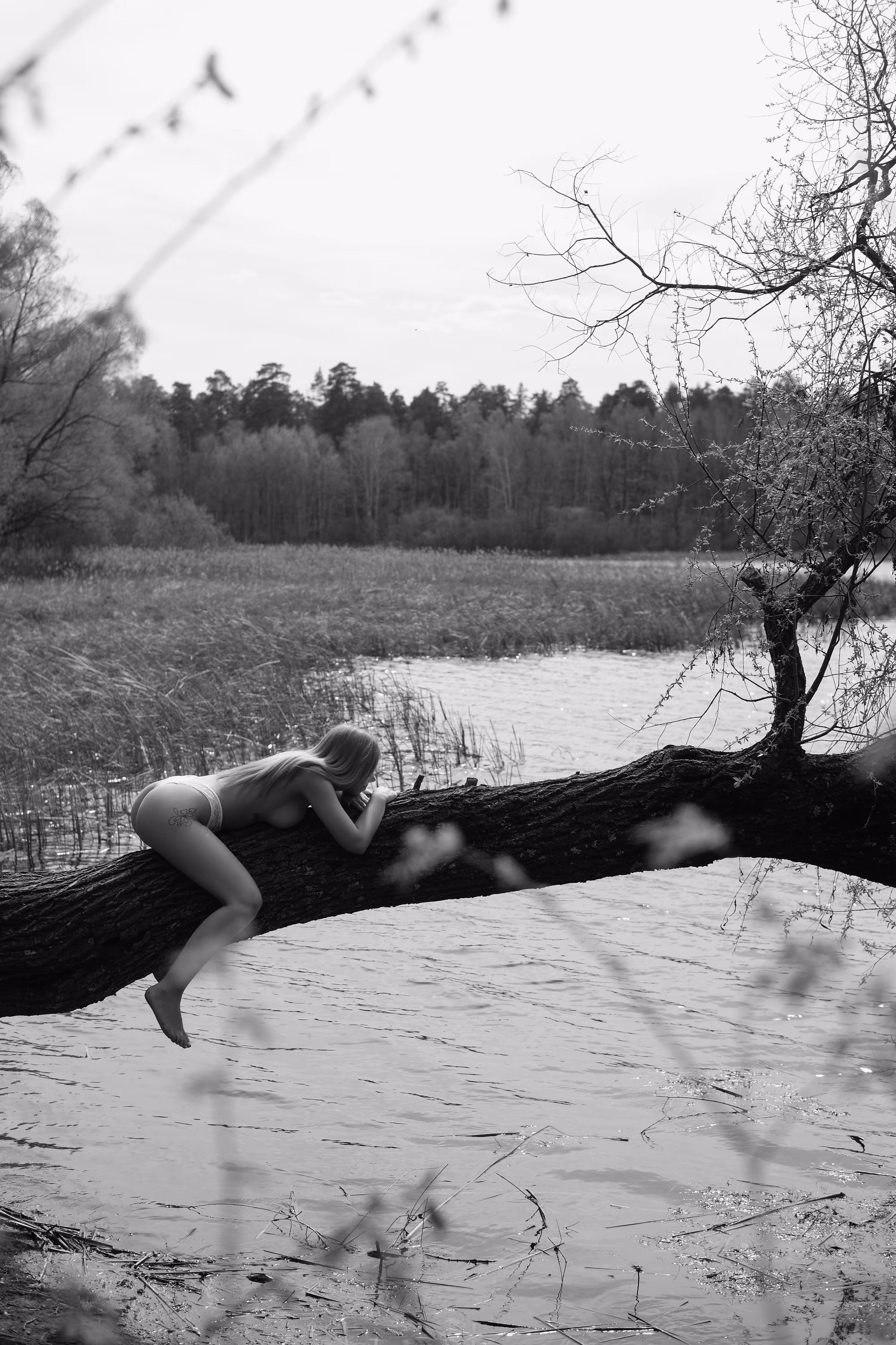 29. Becoming: Stillness Beneath the Skin