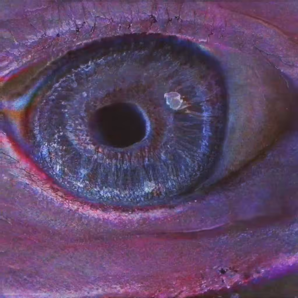 Katie Morris - Optic Nerve 03