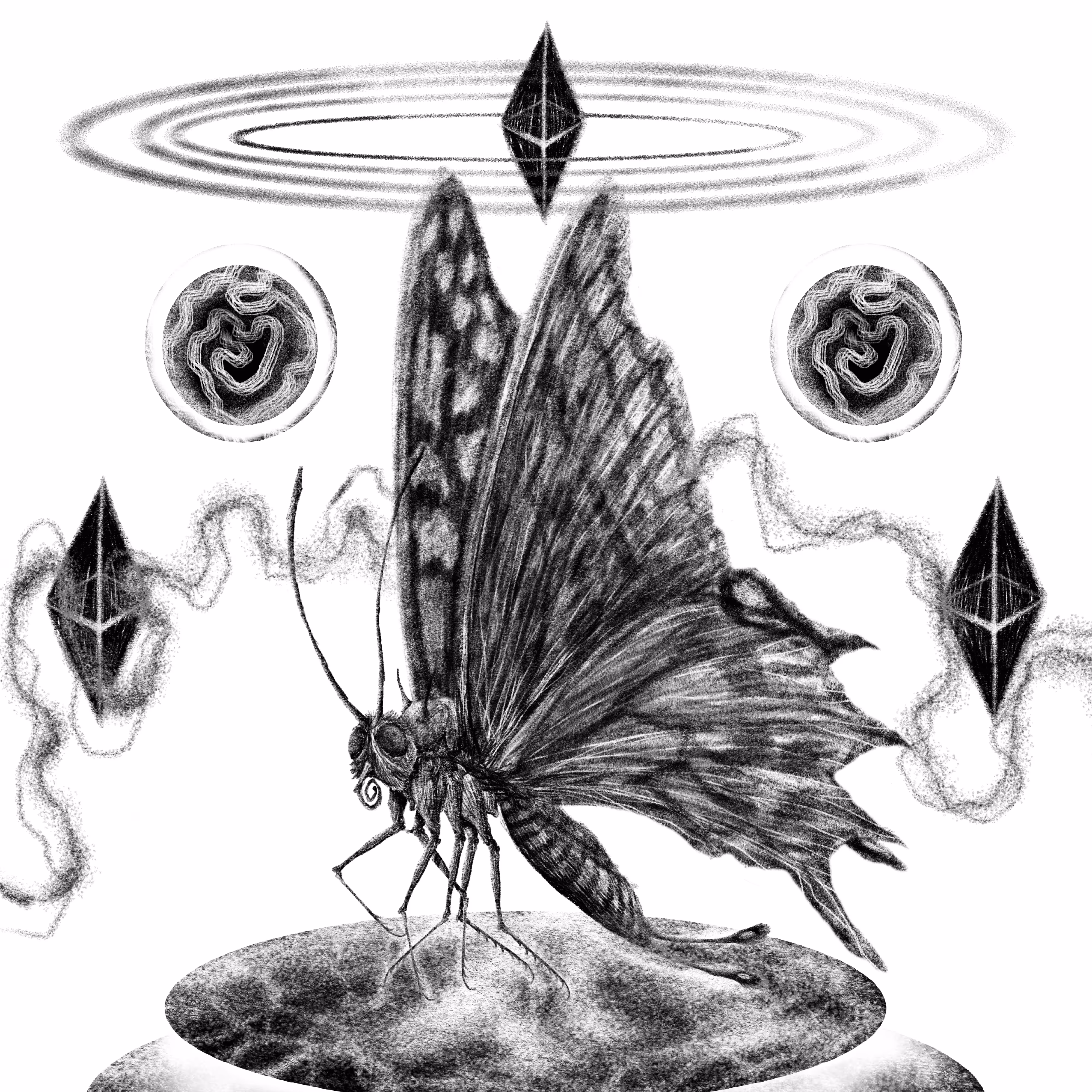 MAYA BUTTERFLY