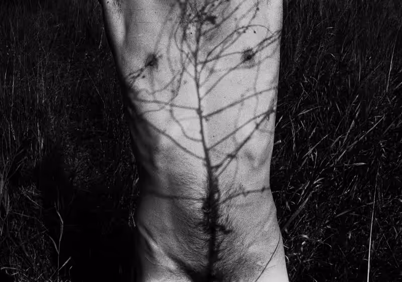 SKIN NUMBER 6