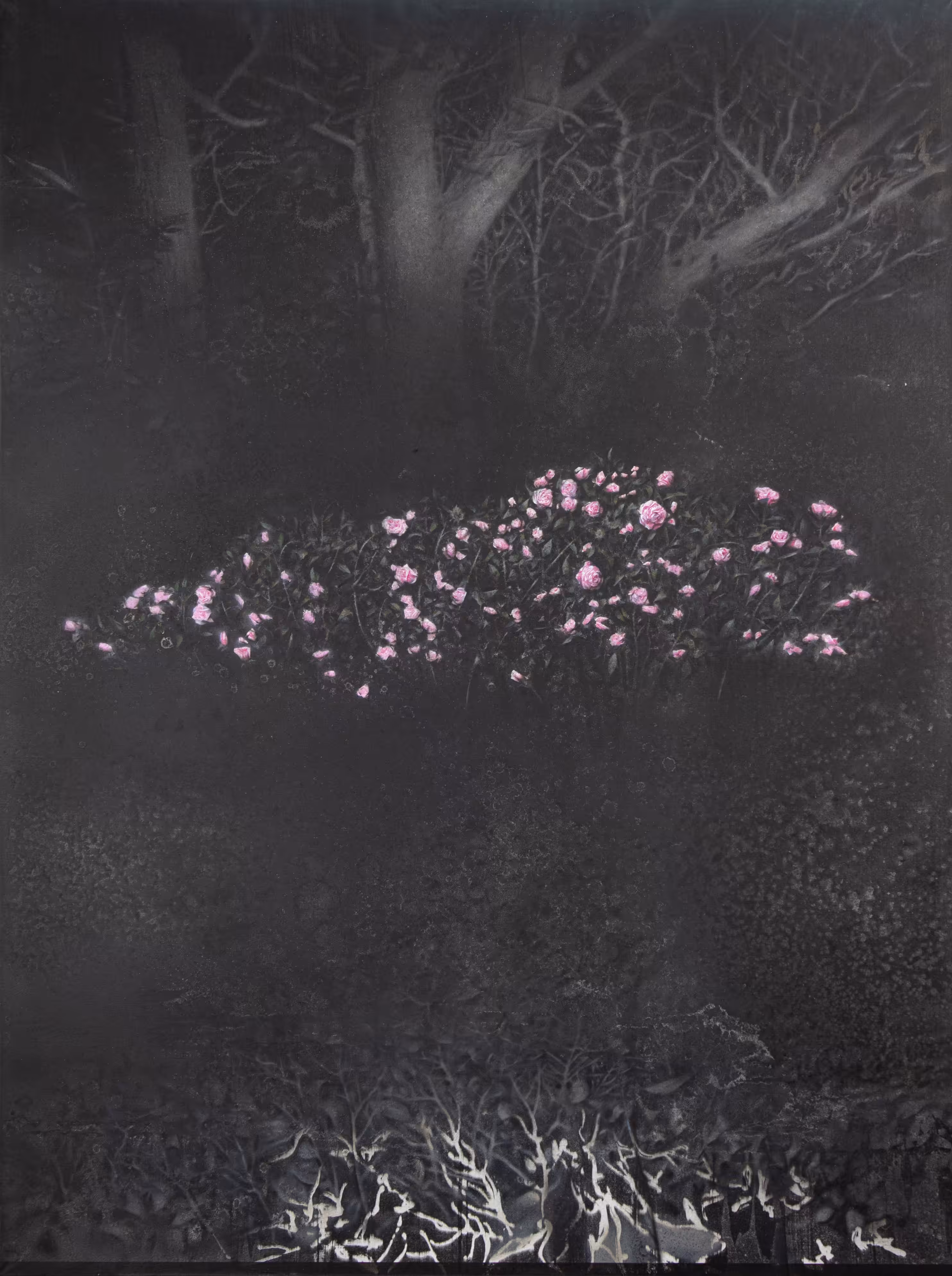 Dark Garden