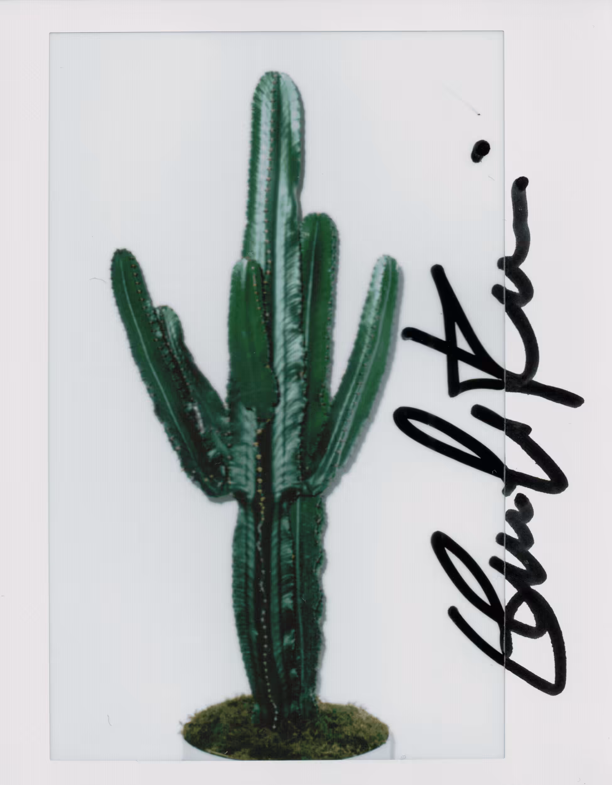 #87