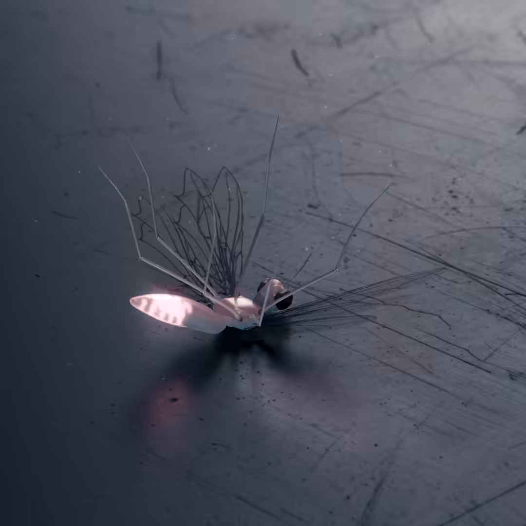 Ballad for a Fallen Firefly 1/1
