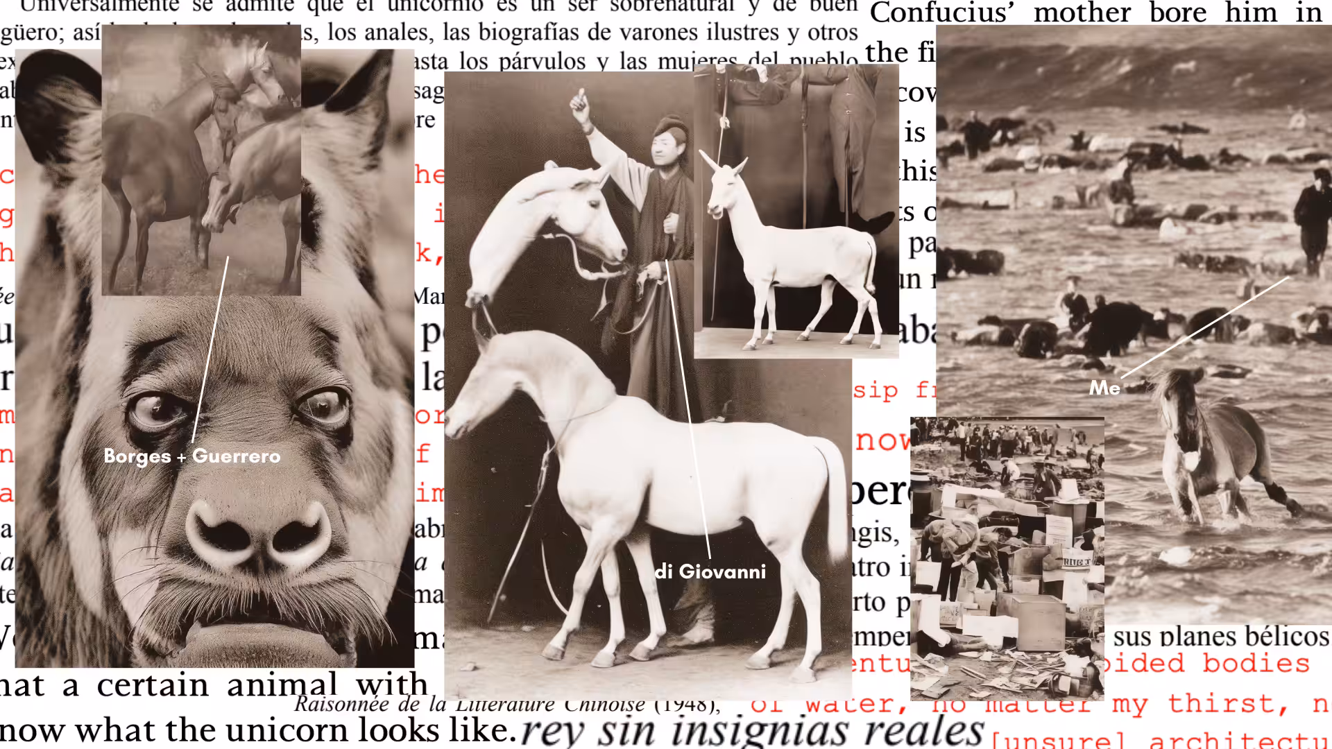 Being Borges: The Chinese Unicorn: Collage