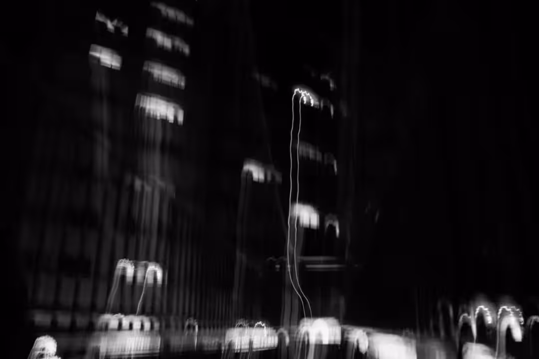 Black and white : Tha fallen night 