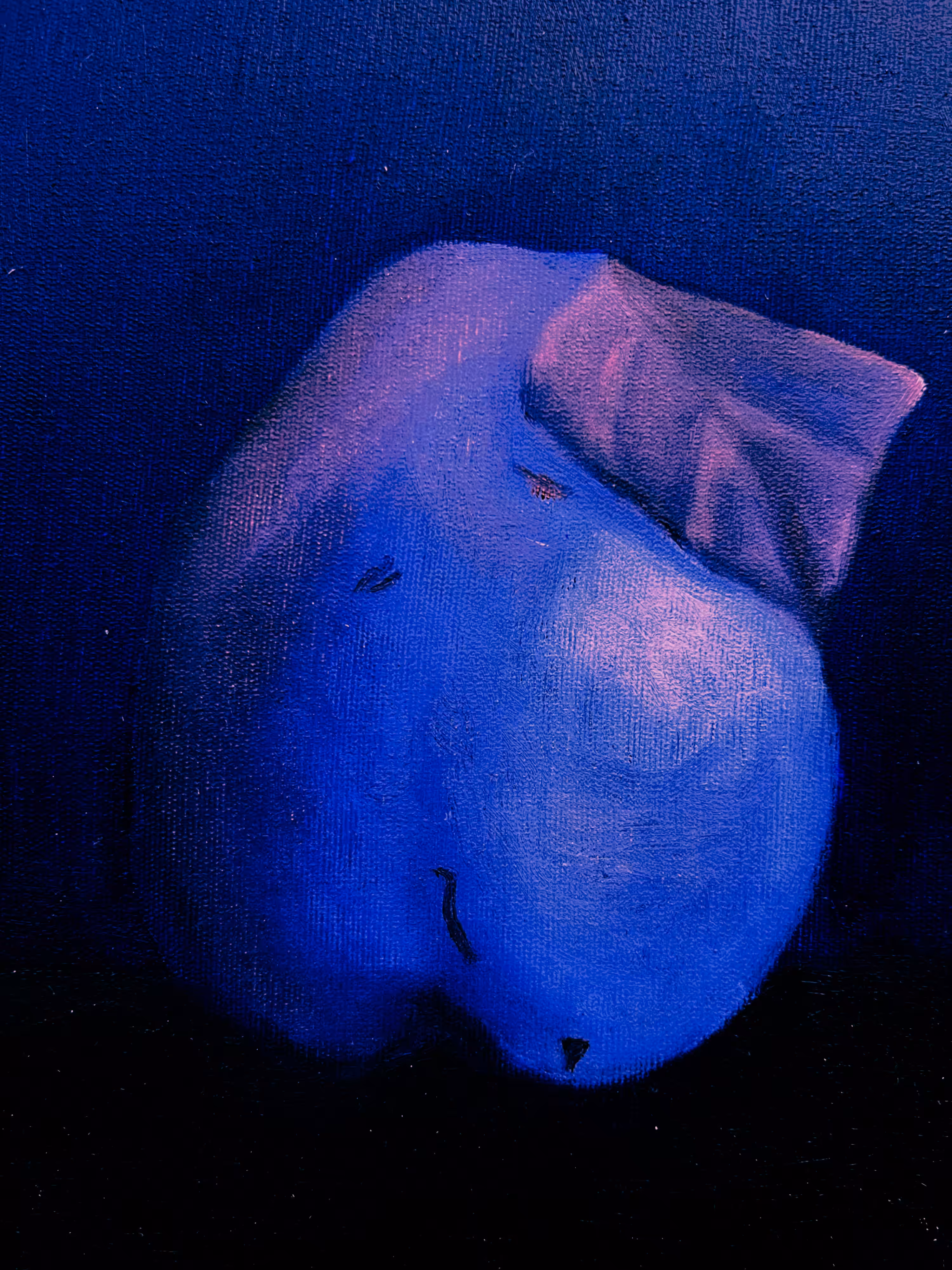Hues of Duality: Hues 5