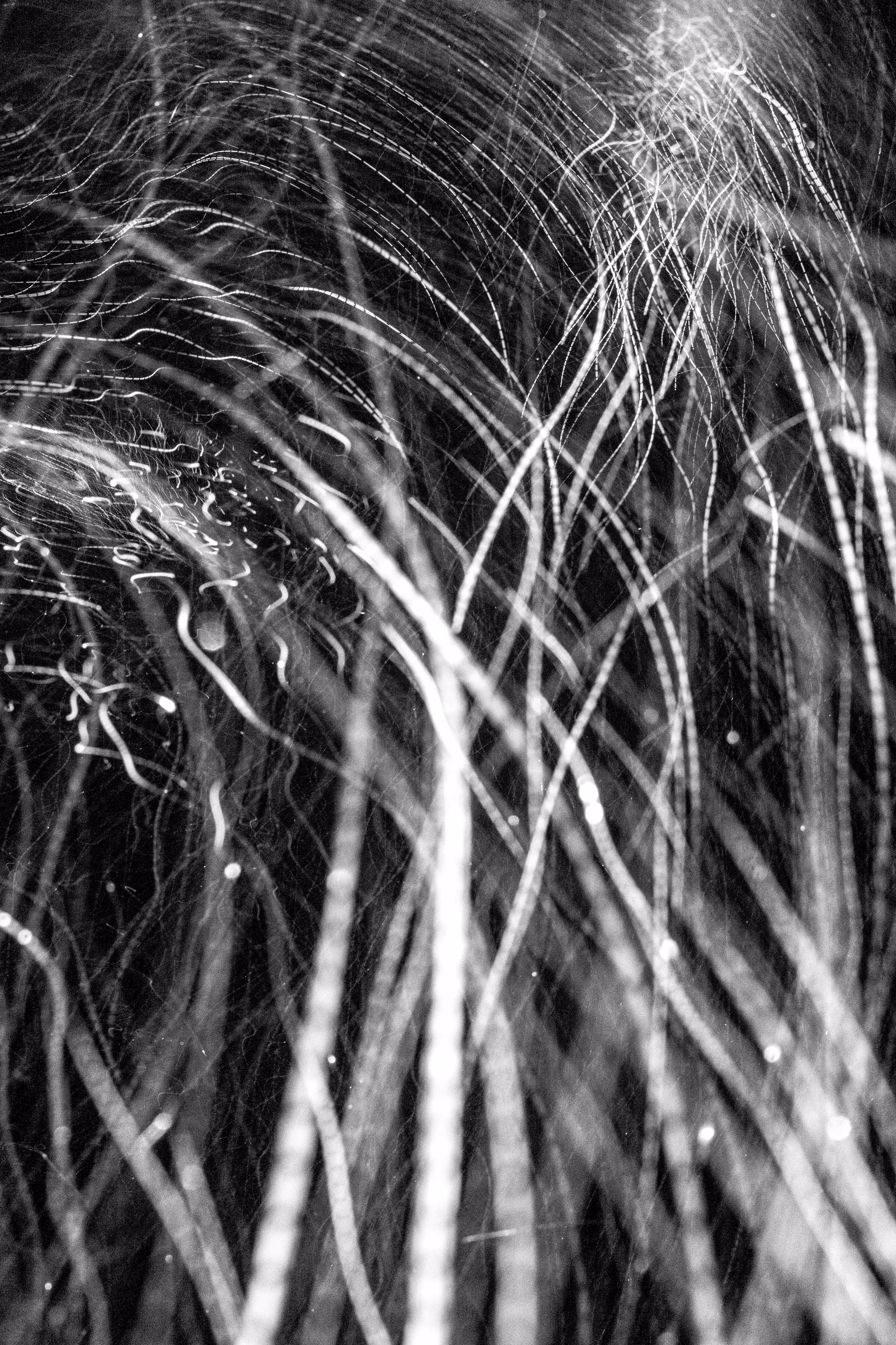 GISELXLIGHTSLURRY: L1210376 : An omen of the skies