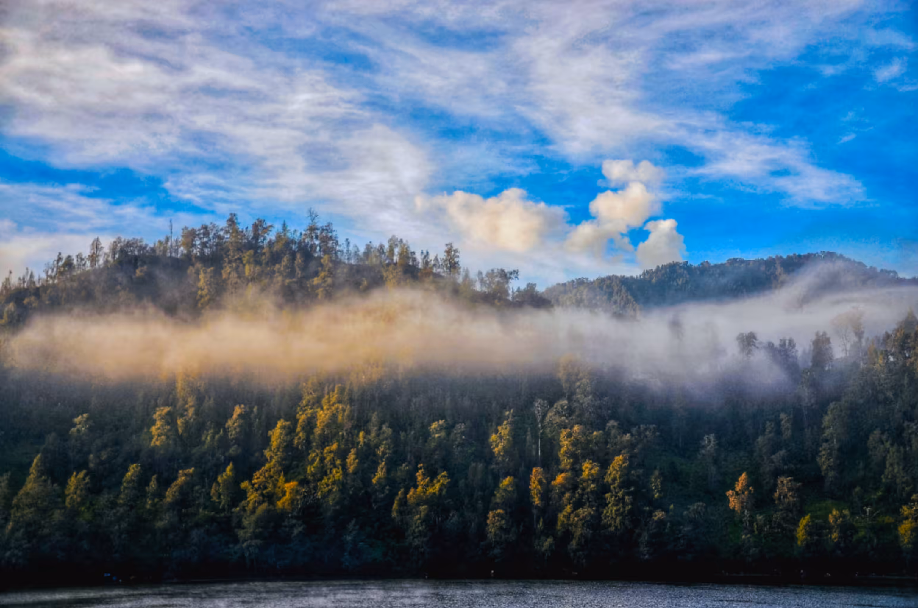 Morning Fog