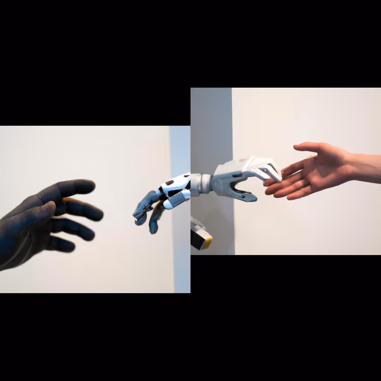 Human
