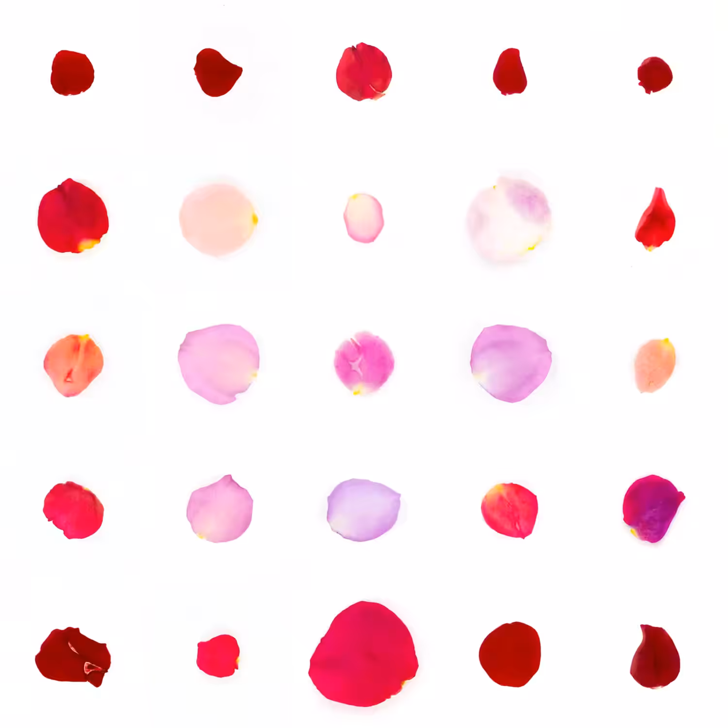 Infinite Petals 5x5#20082