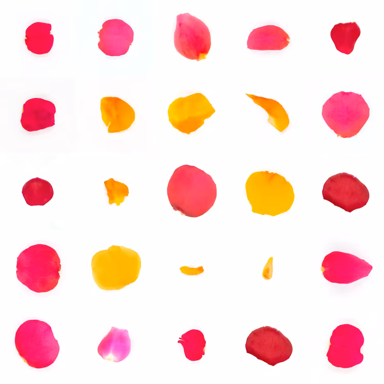 Infinite Petals 5x5#2950