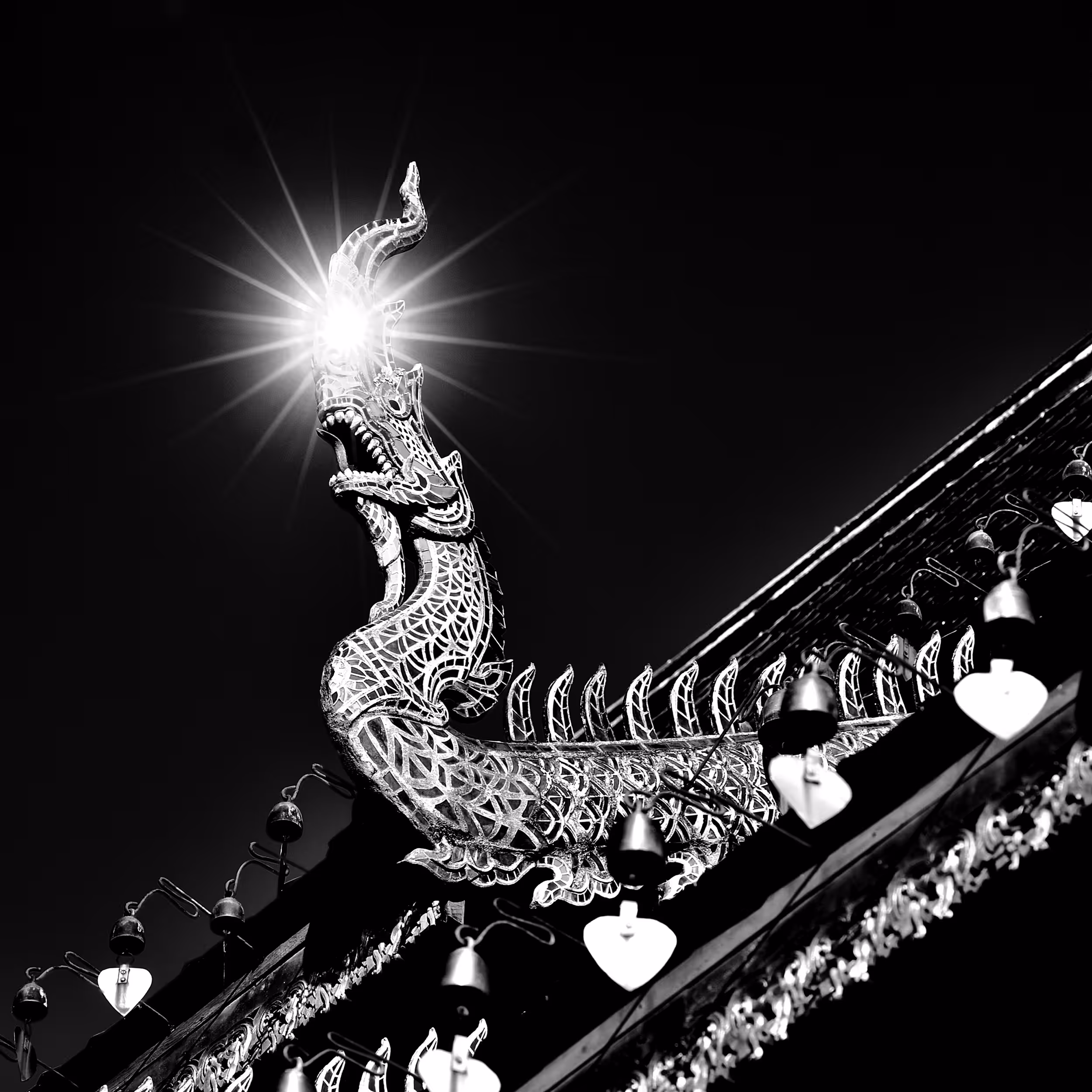 Naga star