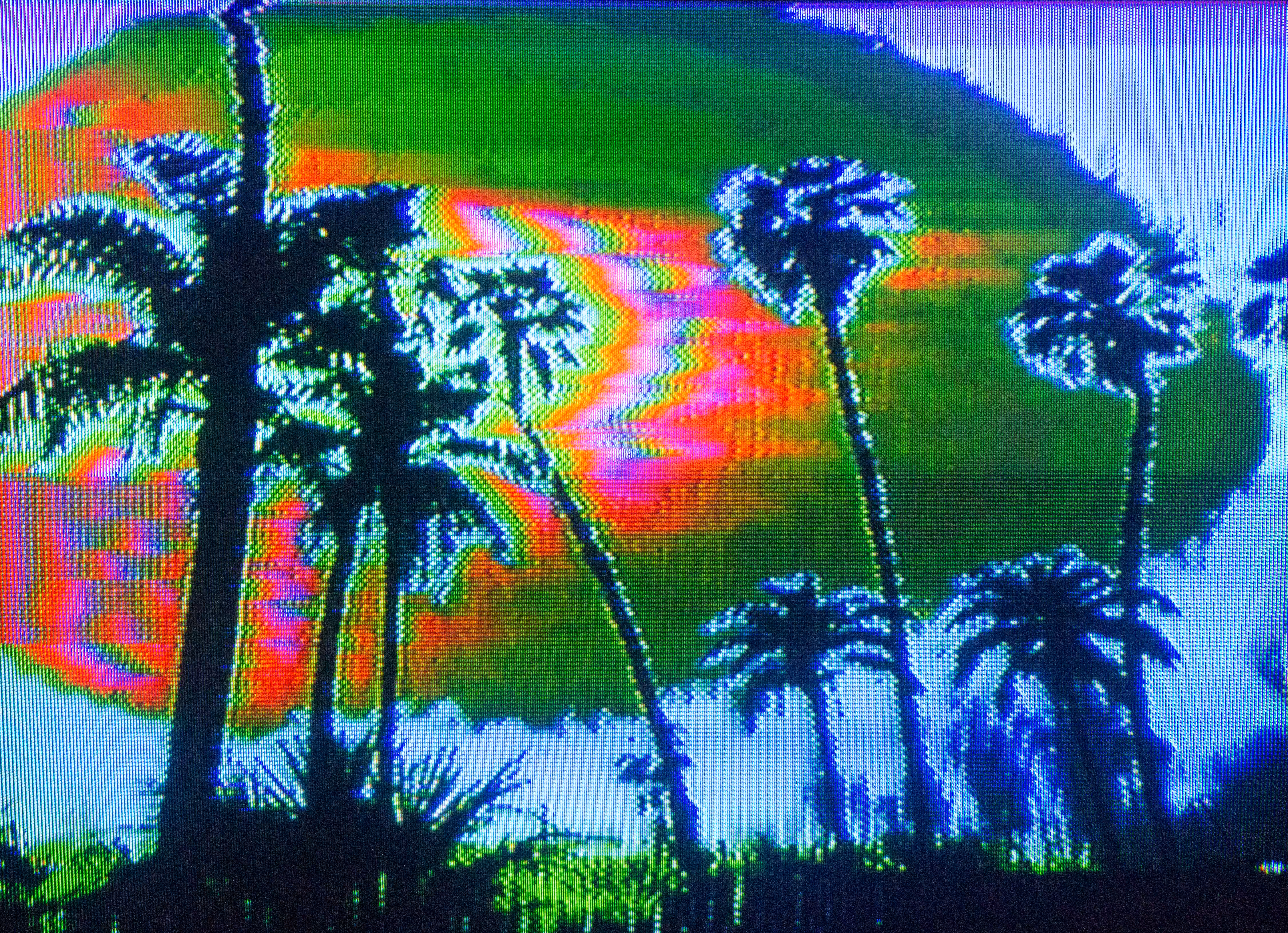 daylight paradise