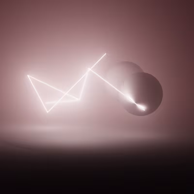 Wandering Nets #100