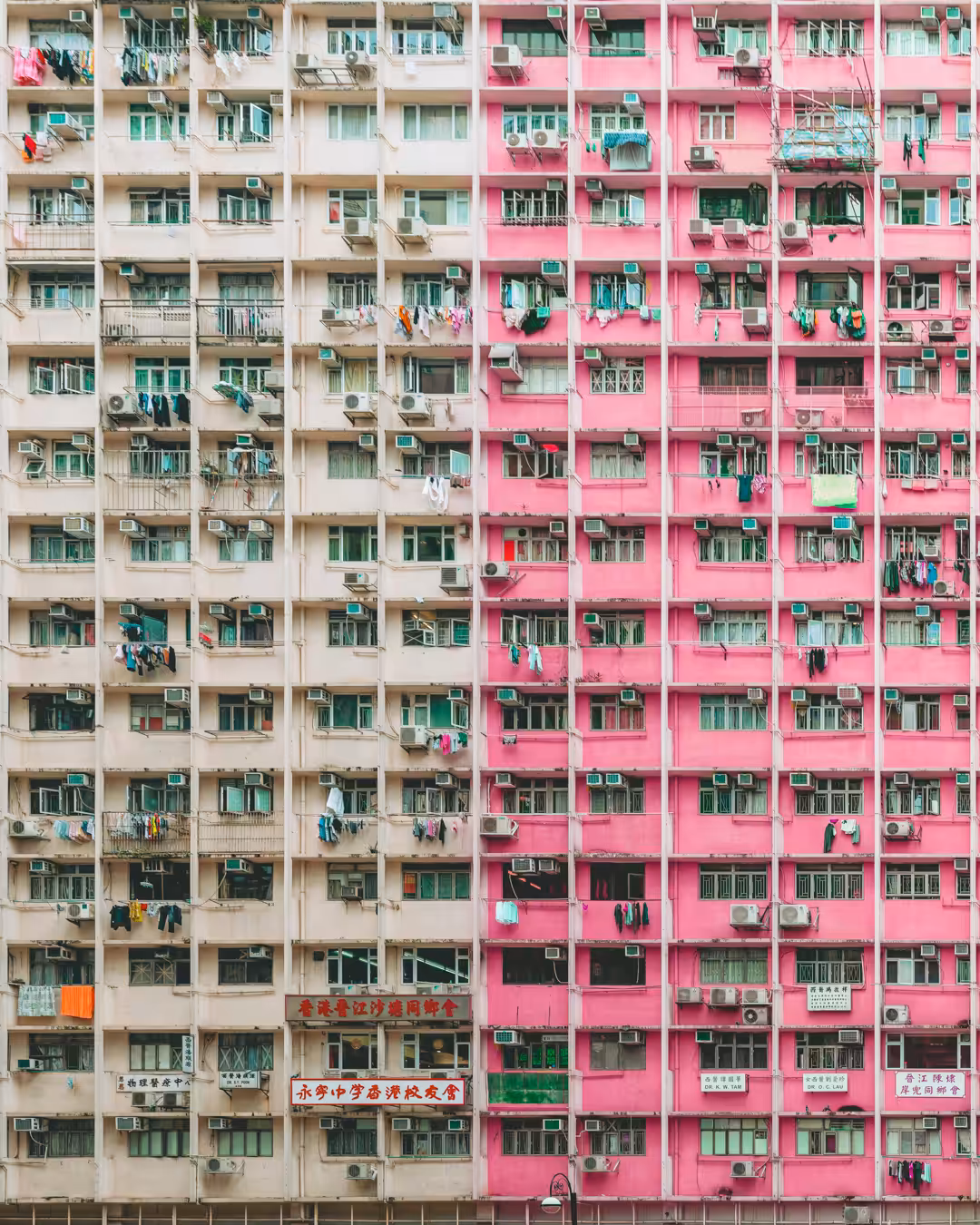 Pink & White
