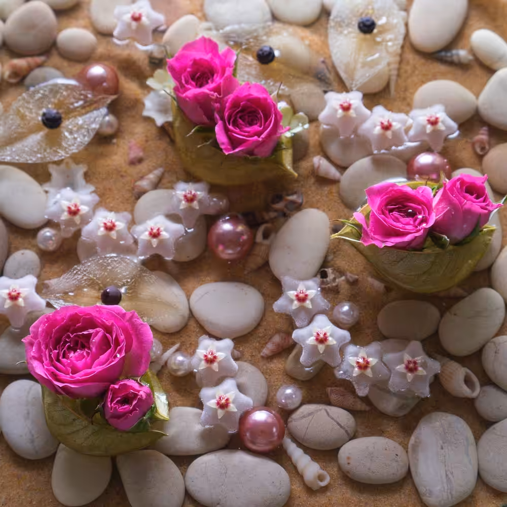 Of shells and stars and spirals